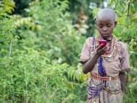 ��������� � �������� 