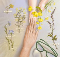 ������ ����� �������� ����� �� ���� ������ ������ ������� �� ���