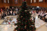 7 ������ �������� ������ ������� �� ������� ����� �������� ���� ����� � ����